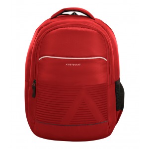 NEO 2 LAPTOP BACKPACK